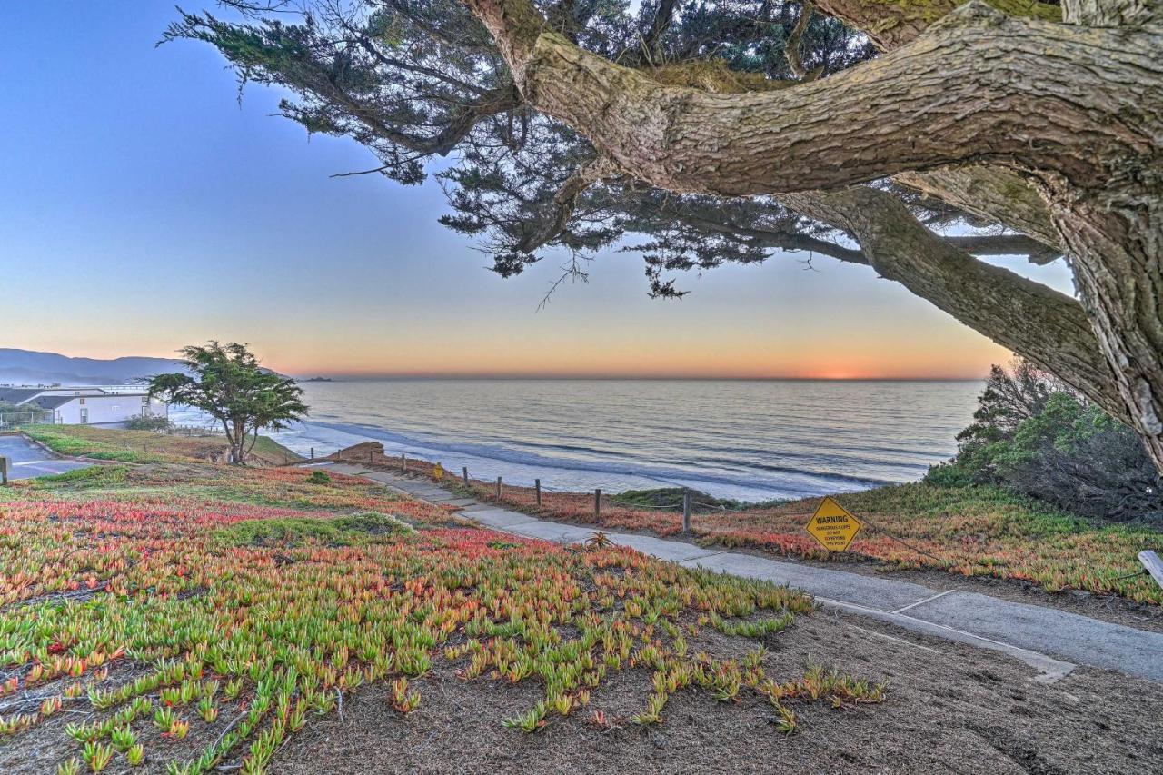 Cliffside Pacifica Hideaway Unbeatable View! Apartment Luaran gambar