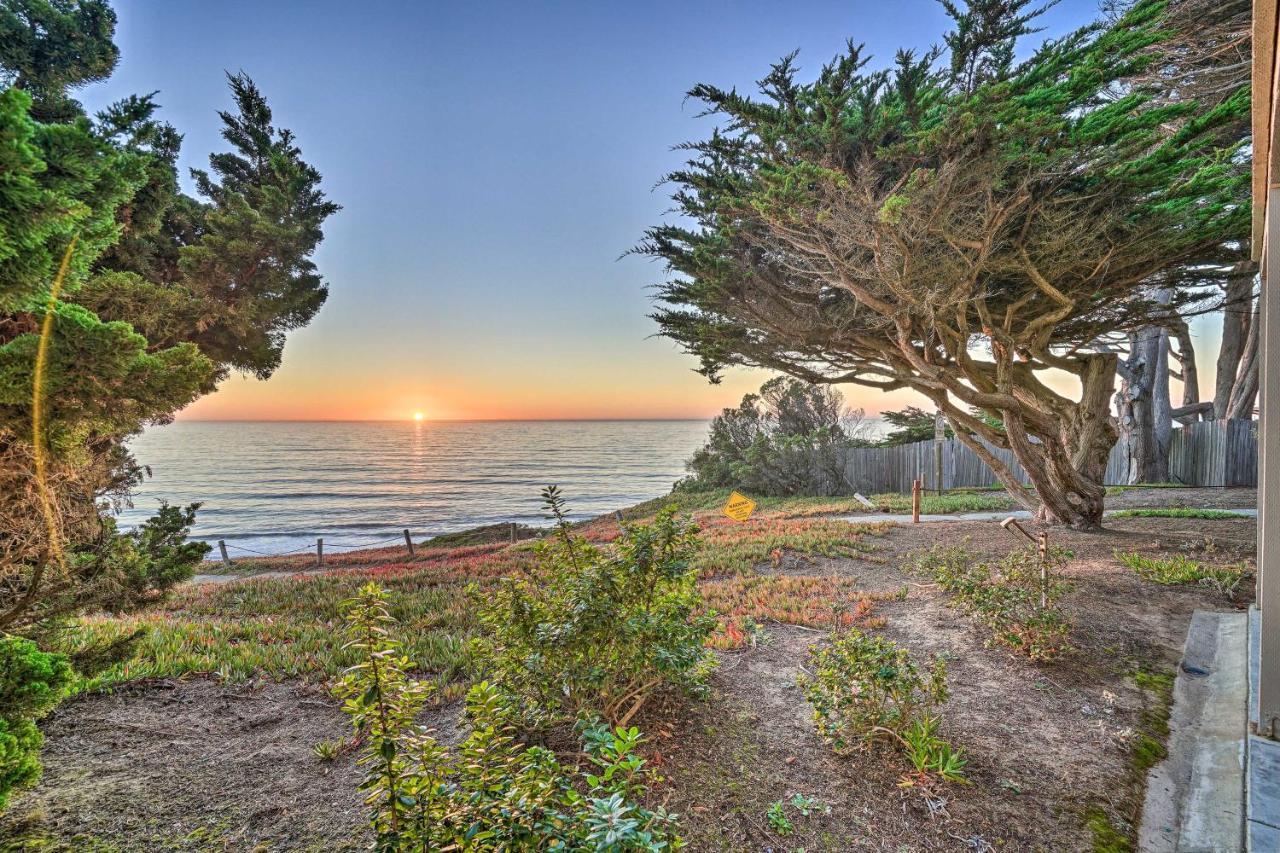 Cliffside Pacifica Hideaway Unbeatable View! Apartment Luaran gambar